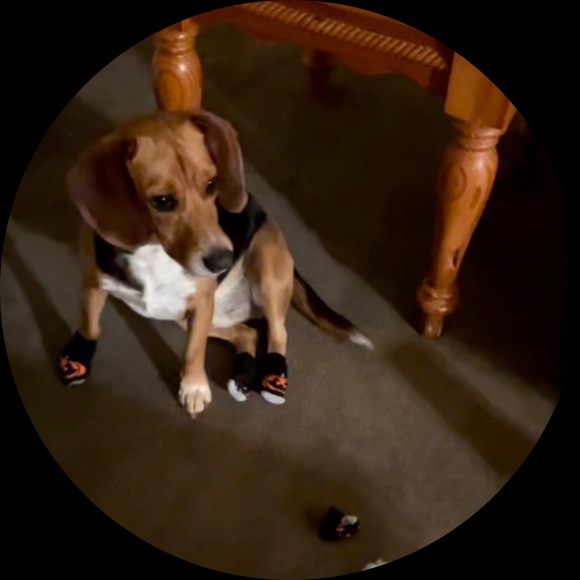 sophiagracecast
